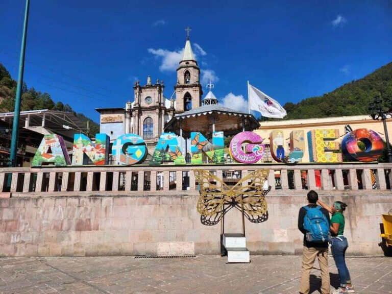 Mexico City: Monarch Butterflies, Sierra Chincua & Angangueo - Is It Worth the Price?