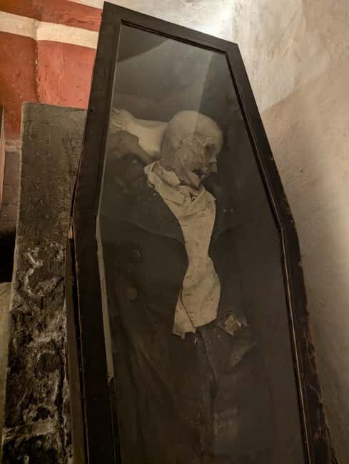 Mexico City: Museum of El Carmen Tour with Ticket - An In-Depth Look at the Tour