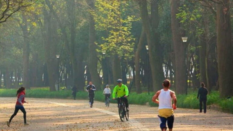 Mexico City: Private Chapultepec Park Bike Tour - The Itinerary Breakdown