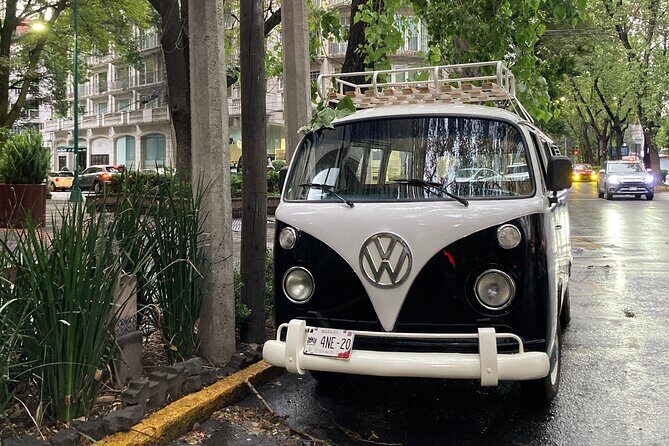Mexico City PRIVATE Lucha Libre, mezcal & Tacos on a 1975 VW Bus - What’s Included and What to Keep in Mind