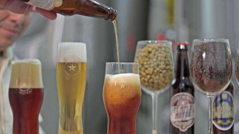 Mexico City Tasting Tour and Craft Beer Experience - The Sum Up: Who Will Love This Tour?