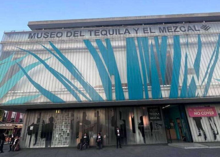 Mexico City: Tequila and Mezcal Museum Tour with Tasting - Final Thoughts