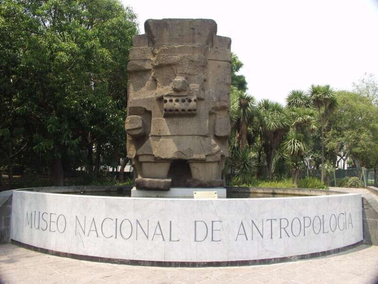 Mexico City tour & Anthropology Museum Tour - The Vibrant Atmosphere of Chapultepec Park