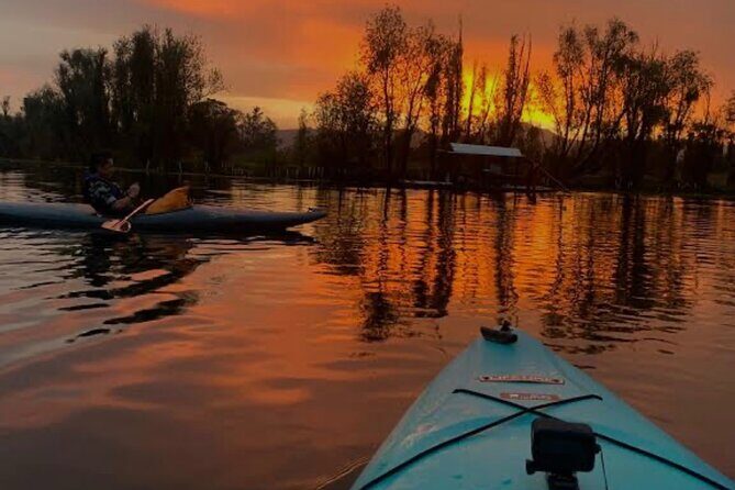 Mexico City: Xochimilco at sunrise + Breakfast and transportation - Who Will Enjoy This Tour Most?