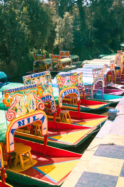 Mexico City: Xochimilco Boat with Guacamole & Premium Drinks - Discovering the Canals of Xochimilco