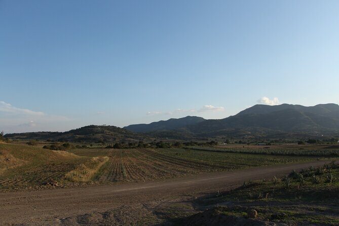 Mezcal Culture Cycling Tour in a Zapotec Village - Exploring Oaxaca’s Mezcal Culture on Two Wheels