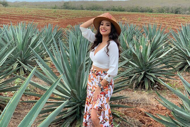Mezcal Food Tasting Tour with Lunch Included - Tasting the Spirit of Sinaloa