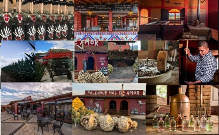 Mezcal Oaxaca: Tour, Gastronomy and Mezcal Tasting - Who Will Love This Tour?
