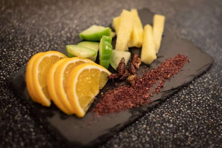 Mezcal Tastings by El Tasting Room - Why This Tour Works Well for Travelers