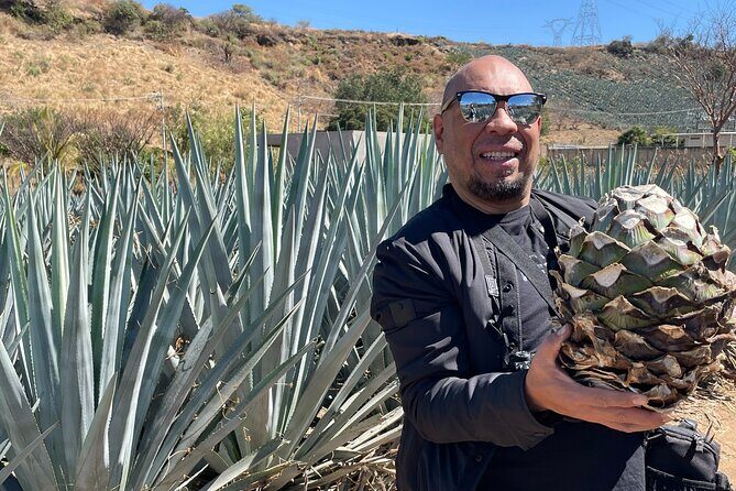 Mezcal & Tequila Tasting at Mexico City with full dinner - Who Is This Tour Best For?