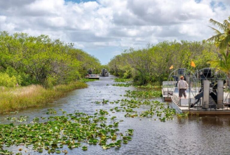 Miami Beach: Everglades Airboat Tours and Rides - What Makes This Tour Stand Out?