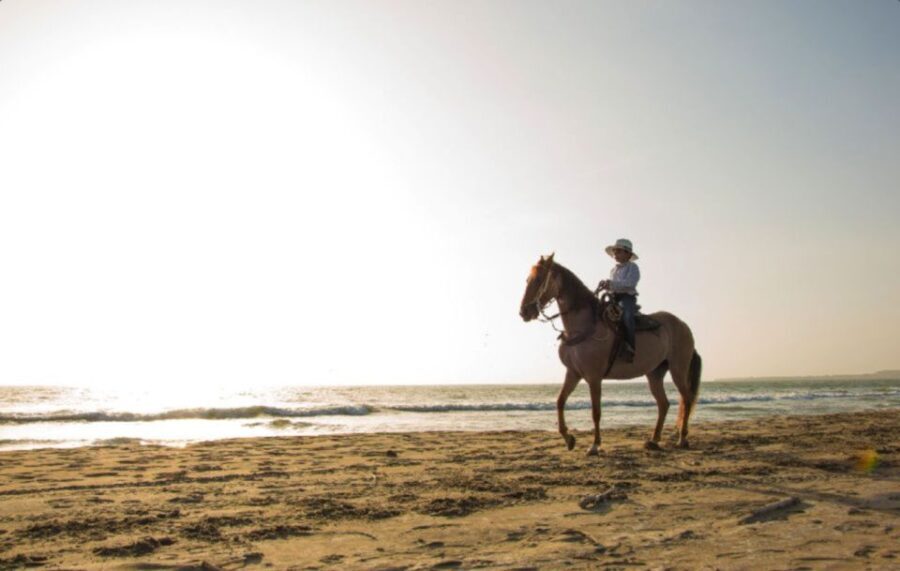 Miami: Beach Horse Ride & Nature Trail - Final Thoughts: Is It Worth It?