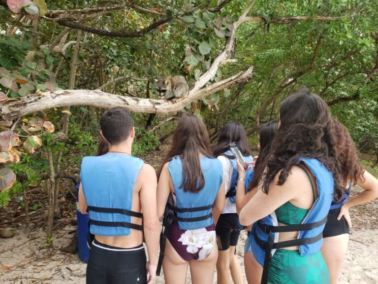 Miami: Beginner-Friendly Island Snorkeling by SUP or Kayak - The Value of This Tour