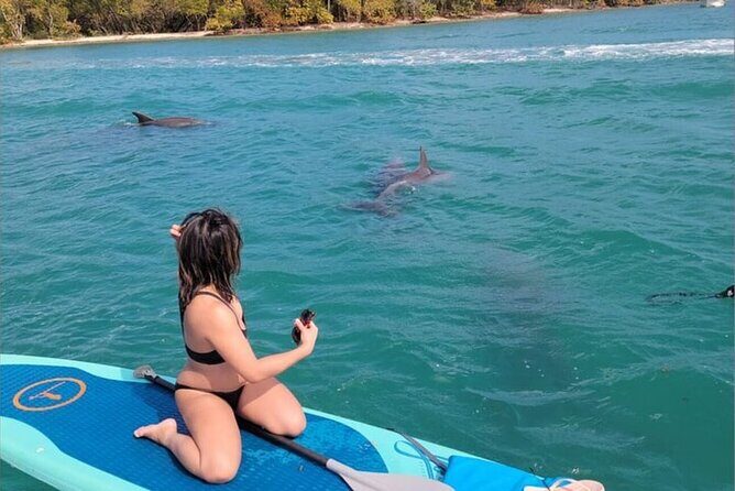 Miami Biscayne Bay Boat Tour with Sandbar Experience. - Practical Considerations