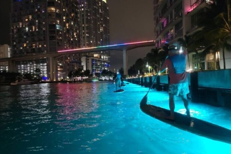Miami: City Lights SUP or Kayak Night Tour - The Scenic Highlights from the Water