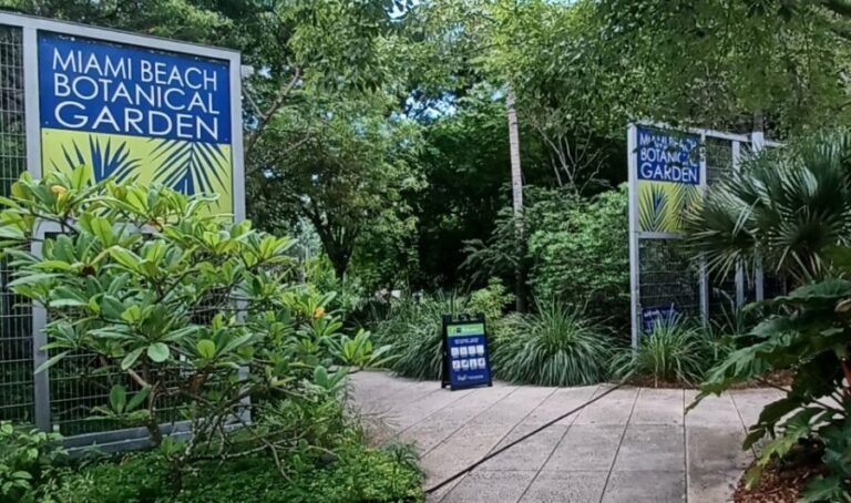 Miami: City Tour & Cruise of Biscayne Bay - An In-depth Look at the Miami City Tour & Biscayne Bay Cruise