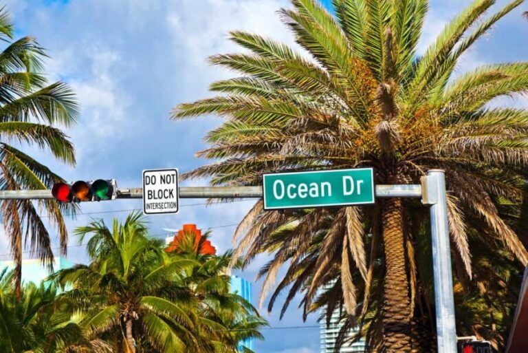 Miami: City Tour with Professional Tour Guide and a comfortable Van or SUV - Authentic Feedback from Travelers