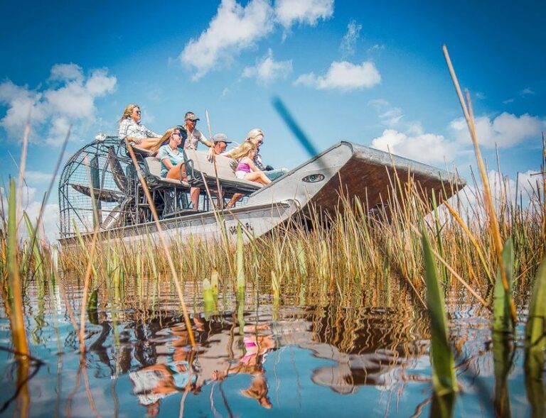 Miami: Everglades National Park Airboat Tour & Wildlife Show - The Experience in Context: Is it Worth It?