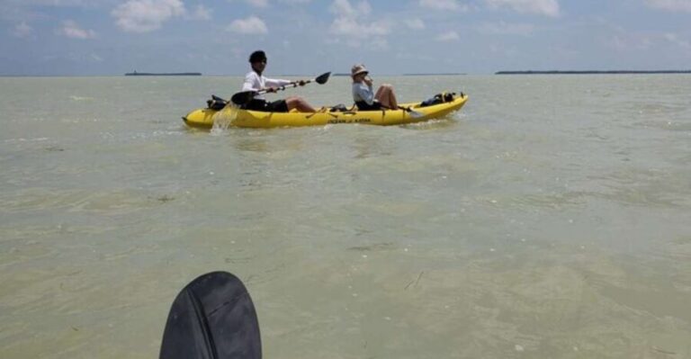 Miami: Everglades National Park Hiking and Kayaking Day Trip - A Closer Look at the Itinerary and Experience
