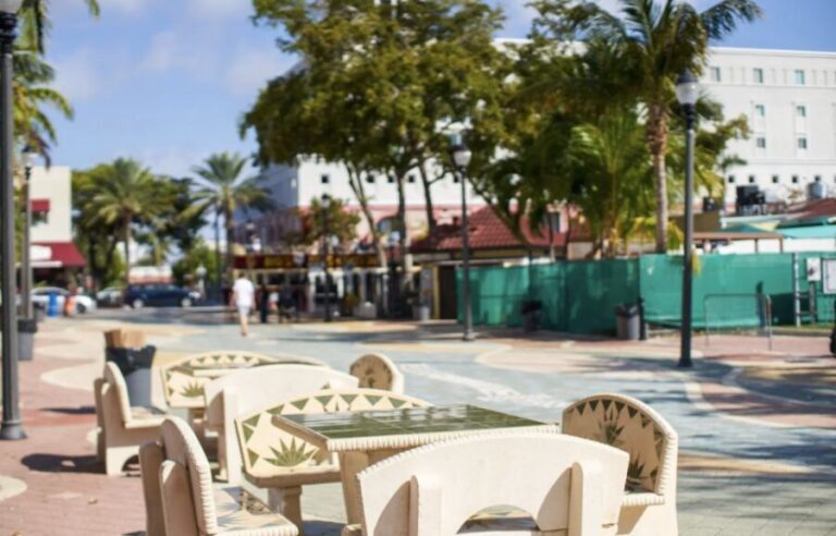 Miami From Fort Lauderdale Premium Driving Tour with Cruise - Transportation and Group Size