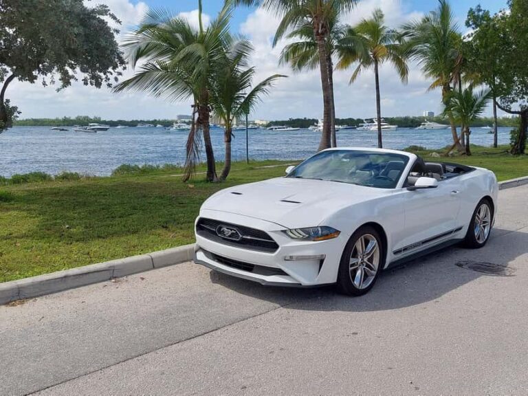 Miami: Full-day tour of the Keys in a convertible Mustang in French - An In-Depth Look at the Experience