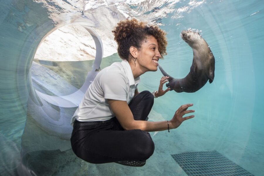 Miami: Go City Explorer Pass - Choose 2 to 5 Attractions - Details That Matter