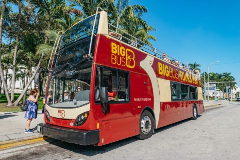 Miami: Half-Day Open-Top Bus Tour Plus Biscayne Bay Cruise - Who Would Enjoy This Tour?