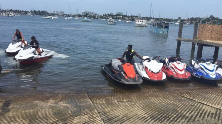 Miami: Jet Ski Rental with Instructor and Tutorial - Dolphins, Waves, and Coastal Views