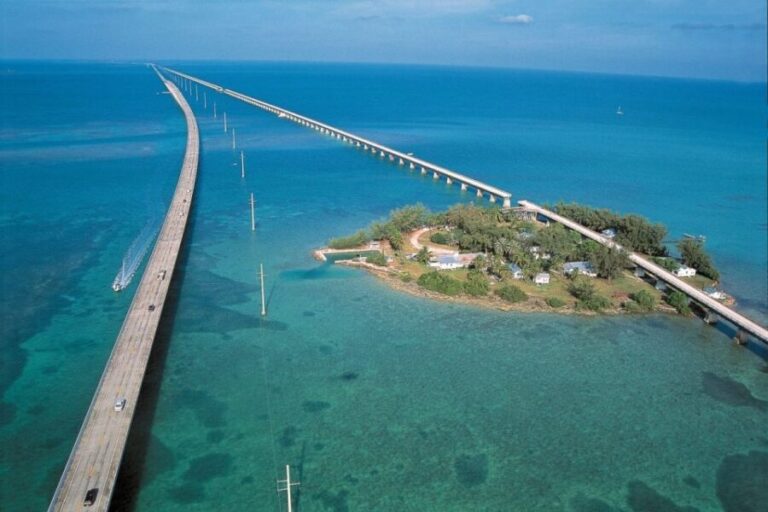 Miami: Key West Boat Tour w/ Optional Snorkeling & Open Bar - The Marine Experience: What You’ll See & Feel