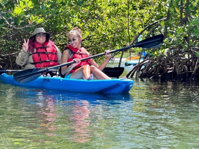 Miami: Paddle Board or Kayak Rental in Virginia Key - What To Expect During Your Paddle