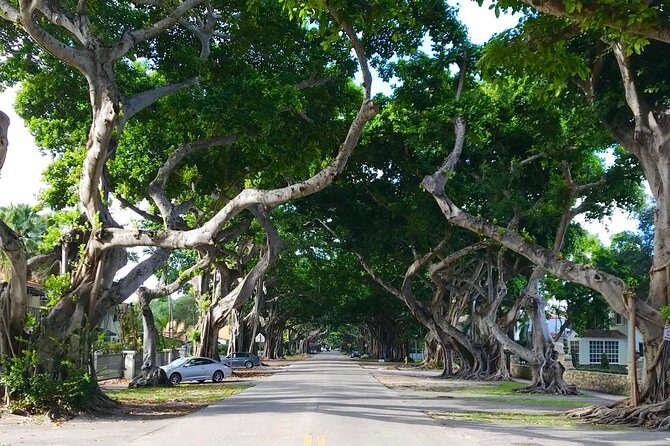 Miami private city tour off the beaten path - Authentic Neighborhoods and Local Flavors