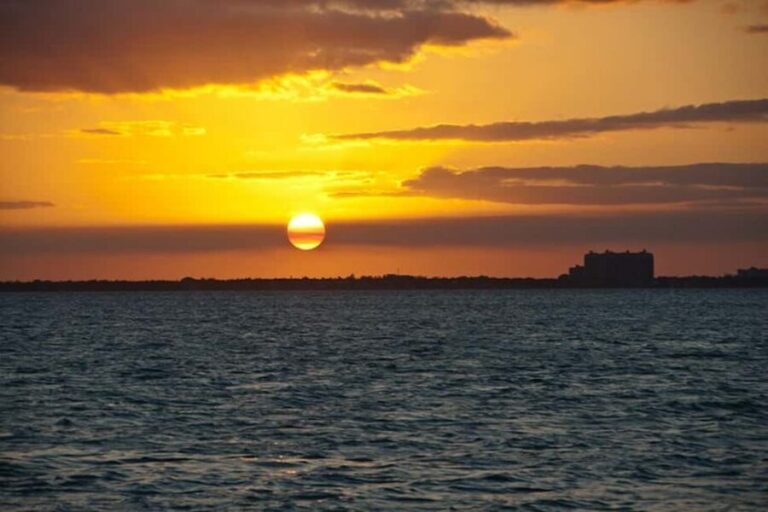 Miami: Skyline Sightseeing Cruise & Millionaire Houses - An In-Depth Look at the Tour Experience