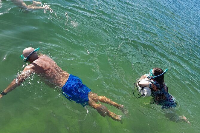 Miami: Snorkel adventure & Sandbar Trip - What Do Travelers Say?