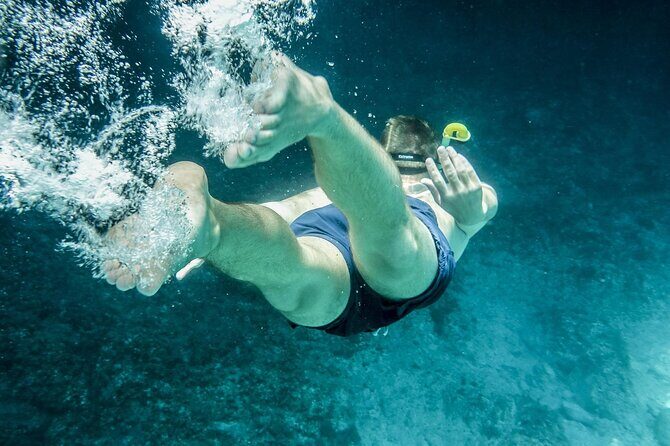 Miami: Snorkeling Experience - FAQ