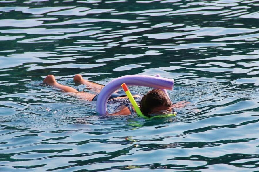 Miami Snorkeling for Beginners from Bayside Market Place - The Experience: What It Feels Like
