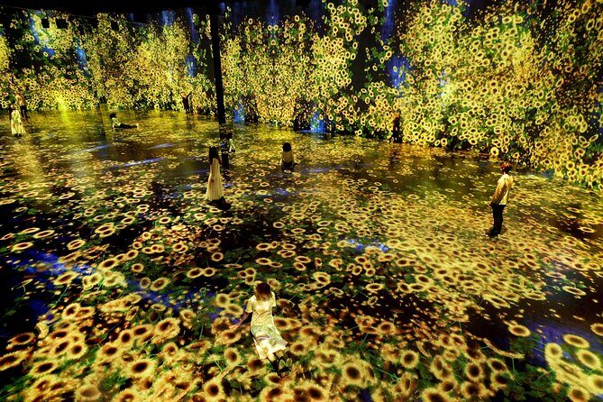 Miami: Superblue Miami Immersive Art Experience Ticket - Analyzing the Price and Overall Value