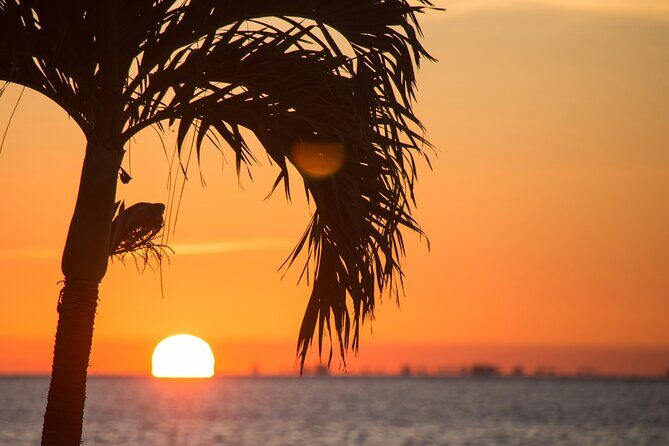 Miami to Key West Bus tour & Miami Boat Tour - 2 Combo Tour - Transport, Timing, and Group Dynamics