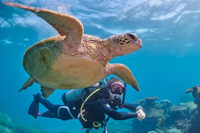 Miami Two Tank Dive Trip - Who Would Enjoy This Tour?