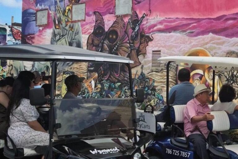 Miami: Wynwood Graffiti Brewery Golf Cart Tour - Who Is This Tour Best For?