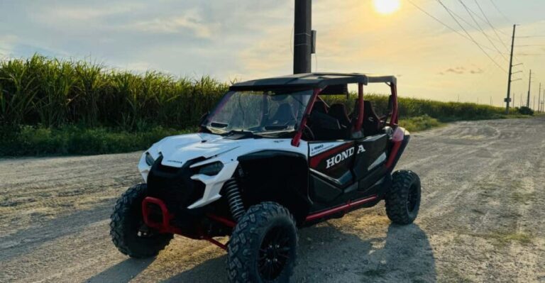 Miami's Ultimate Buggy Adventure on a Honda Talon UTV - Who Would Enjoy This?
