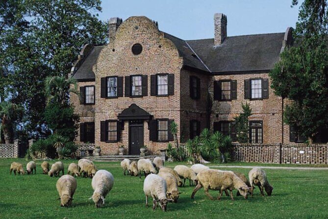 Middleton Place Plantation - 3 hour guided tour - hotel pickup - The Itinerary in Detail