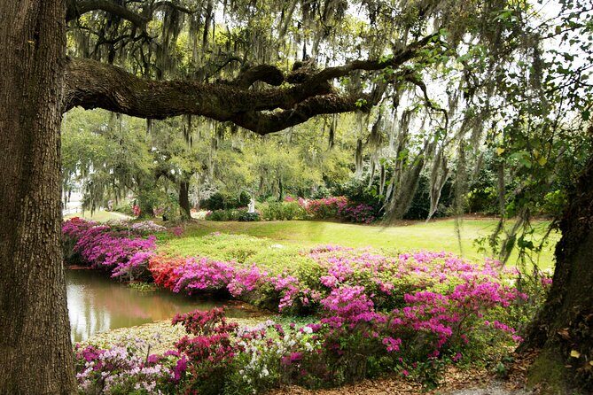 Middleton Place Tour with Lunch and Transportation - Practical Tips for Future Travelers