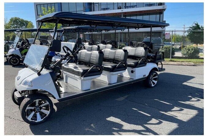 Midtown New York Sightseeing Tour in a Luxury Golf Cart LSV - Authentic Experiences from the Tour