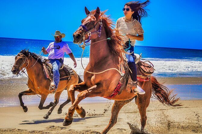 Migriño Beach Horseback Riding Experience - The Practicalities: What You Should Know