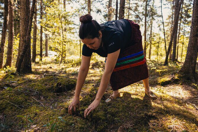 Mi'kmaq Heritage Path Tour - Why the Tour Works Well