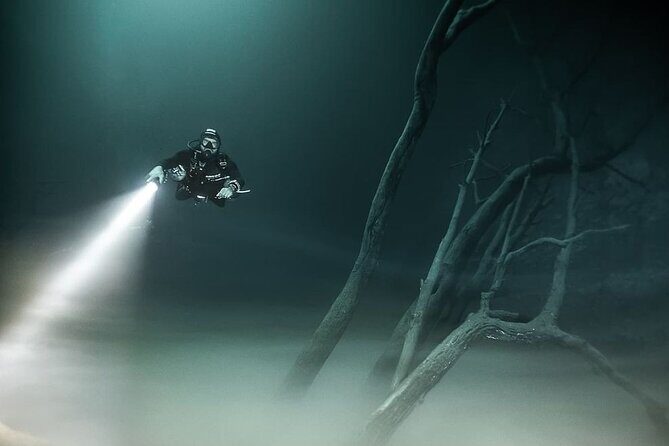 Mind Blowing Cenote Diving Experience In Playa del Carmen - What Makes Cenote Diving in Playa del Carmen Special