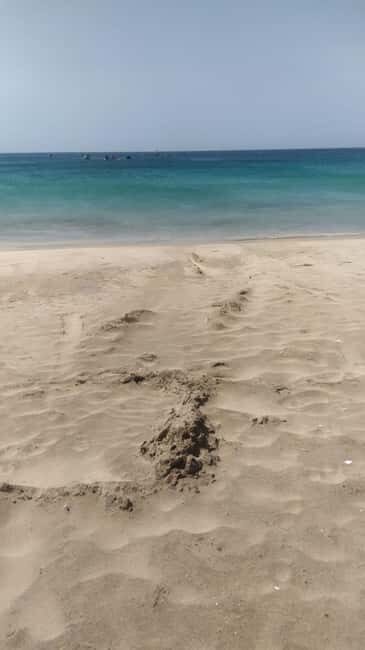 Mindelo: Sea Breeze Walk passing between the volcanoes - Who Will Love This Tour?