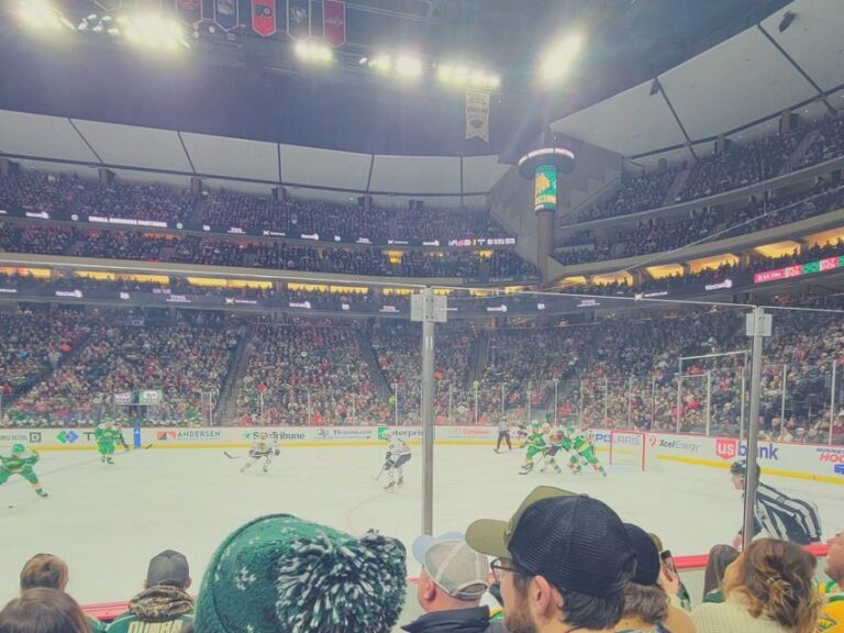 Minnesota: Minnesota Wild Ice Hockey Game Ticket - What Youll Love About Watching the Wild