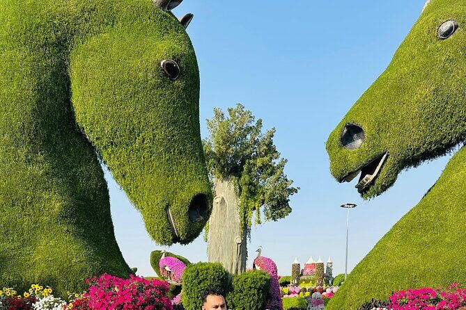 Miracle Garden with Entrance Ticket and Transfers - A Detailed Look at the Miracle Garden Tour in Dubai