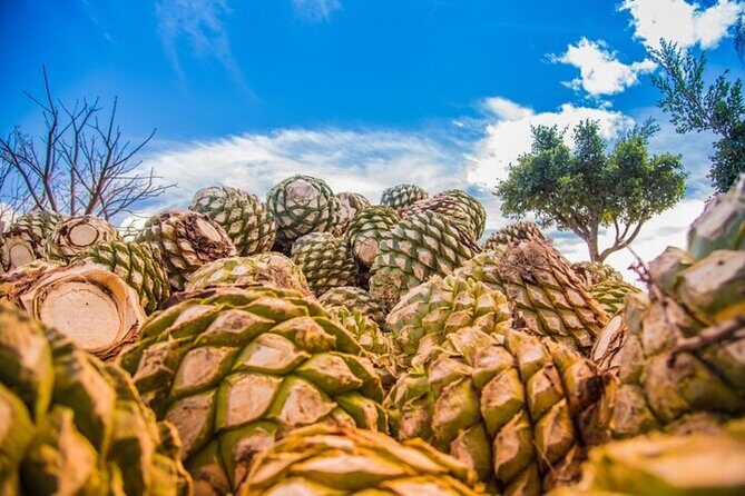 Mitla, Tule, Hierve el agua and Teotilán - The Challenges and Considerations